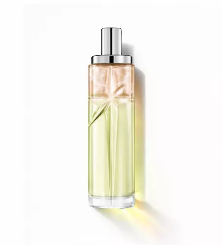 Creamy Delight : flacon élancé avec dégradé vert et ambre sur fond blanc.