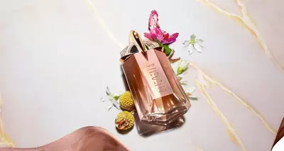 Alien Supra Florale : Laissez-le s’épanouir